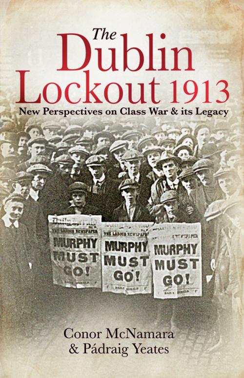 Cover of the book The Dublin Lockout, 1913 by , Irish Academic Press