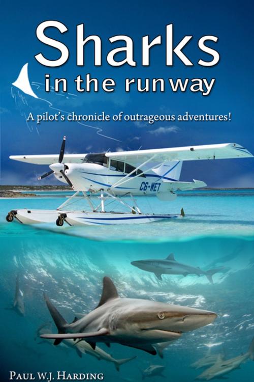 Cover of the book Sharks in the Runway by Paul W. J. Harding, Clink Street Publishing