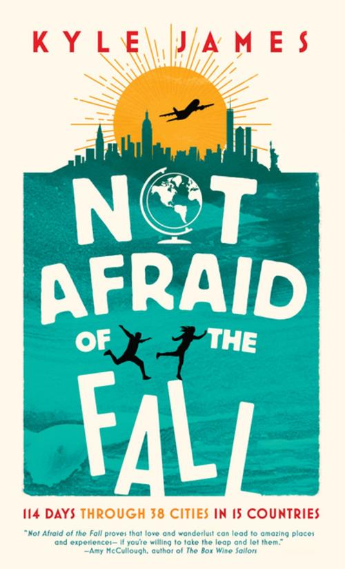 Cover of the book Not Afraid of the Fall by Kyle James, Inkshares