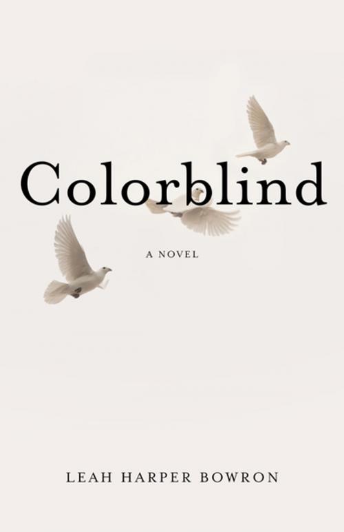 Cover of the book Colorblind by Leah Harper Bowron, SparkPress