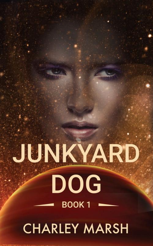 Cover of the book Junkyard Dog by Charley Marsh, Timberdoodle Press