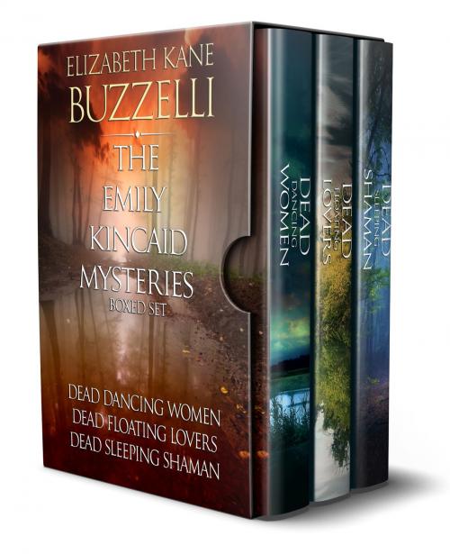 Cover of the book The Emily Kincaid Mysteries Boxed Set by Elizabeth Kane Buzzelli, Beyond the Page