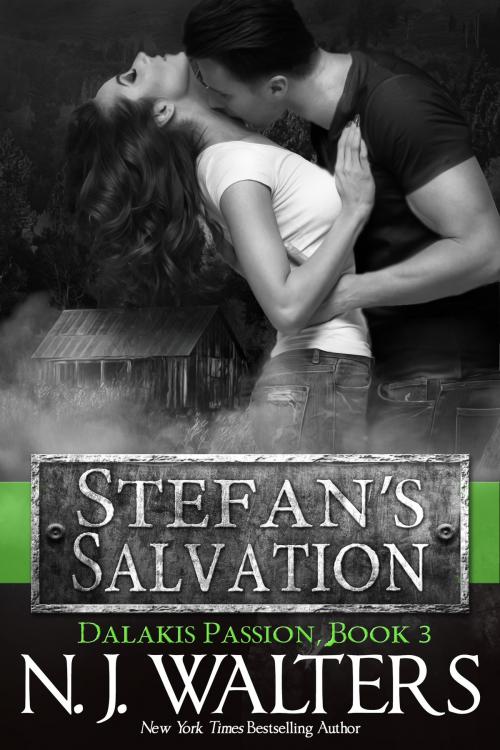 Cover of the book Stefan’s Salvation by N. J. Walters, Beyond the Page