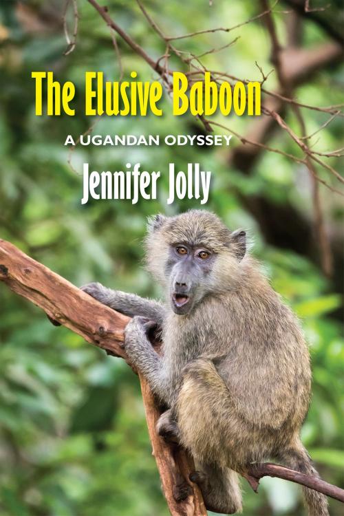 Cover of the book The Elusive Baboon by Jennifer Jolly, Full Court Press