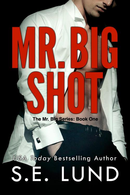 Cover of the book Mr. Big Shot by S. E. Lund, S. E. Lund