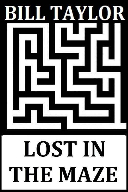 Cover of the book Lost In The Maze by Bill Taylor, Bill Taylor