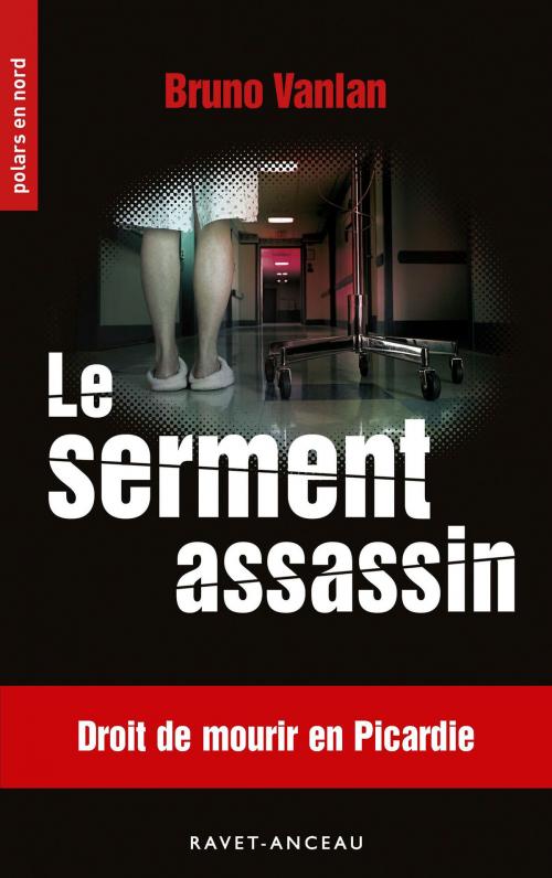 Cover of the book Le serment assassin by Bruno Vanlan, Éditions Ravet-Anceau
