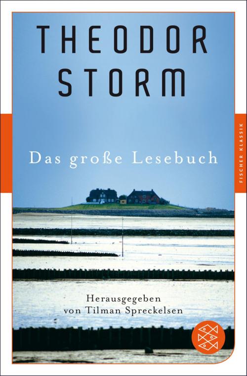 Cover of the book Das große Lesebuch by Theodor Storm, FISCHER E-Books