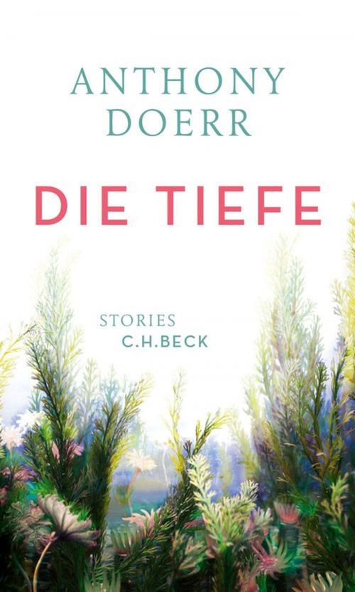 Cover of the book Die Tiefe by Anthony Doerr, C.H.Beck