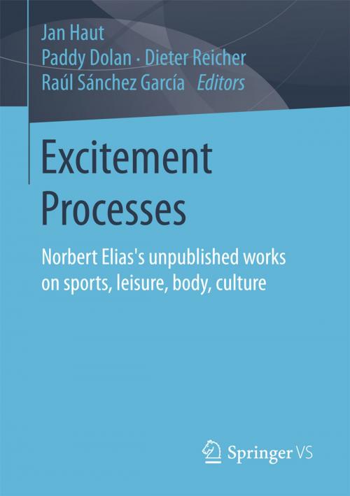 Cover of the book Excitement Processes by , Springer Fachmedien Wiesbaden