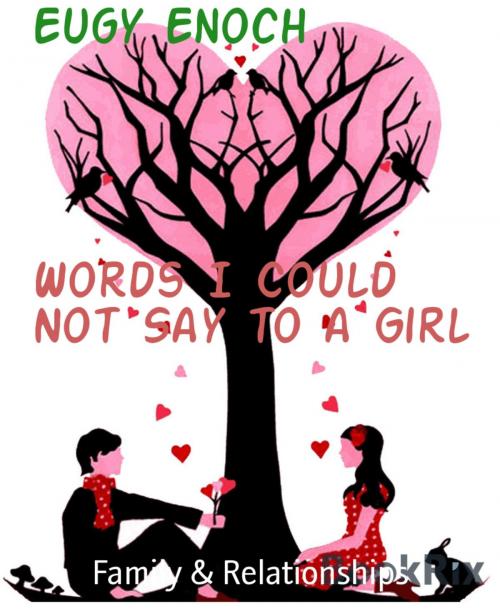 Cover of the book Words I Could Not Say to a Girl by Eugy Enoch, BookRix