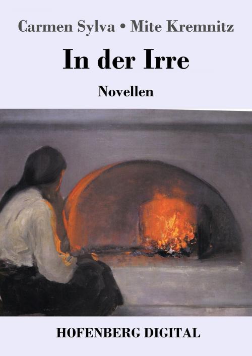 Cover of the book In der Irre by Carmen Sylva, Mite Kremnitz, Hofenberg