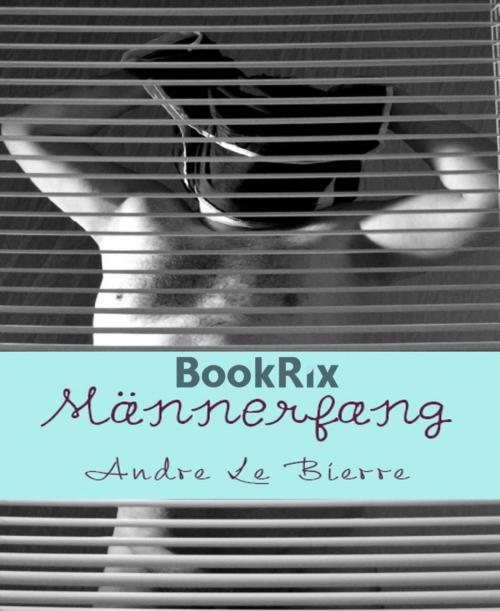 Cover of the book Männerfang by Andre Le Bierre, BookRix