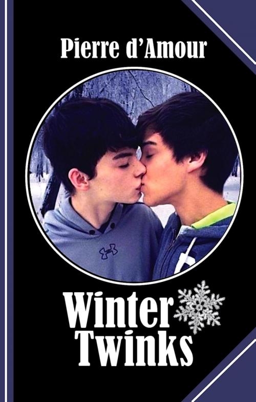 Cover of the book Winter Twinks by Pierre d'Amour, BookRix