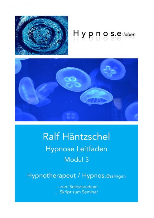 Cover of the book Hypnose Leitfaden Modul 3 by Ralf Häntzschel, Books on Demand