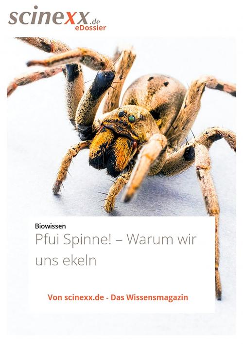 Cover of the book Pfui Spinne! by Kerstin Fels, YOUPublish