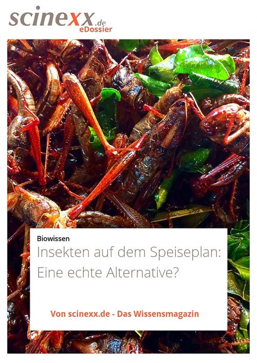 Cover of the book Insekten auf dem Speiseplan by Nadja Podbregar, YOUPublish