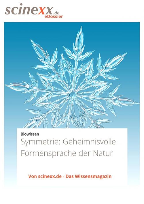 Cover of the book Symmetrie by Nadja Podbregar, YOUPublish
