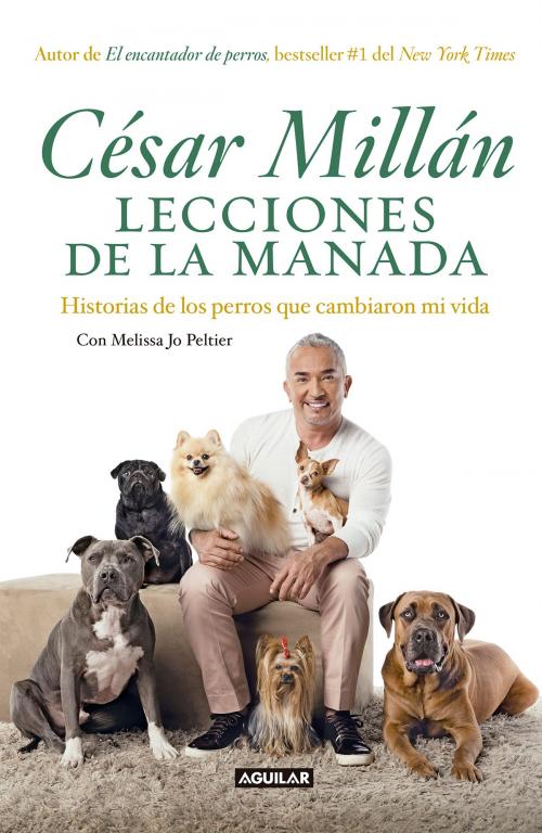 Cover of the book Lecciones de la manada by César Millán, Melissa Jo Peltier, Penguin Random House Grupo Editorial México
