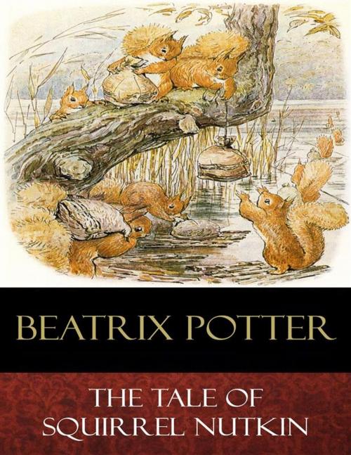 Cover of the book The Tale of Squirrel Nutkin by Beatrix Potter, BertaBooks