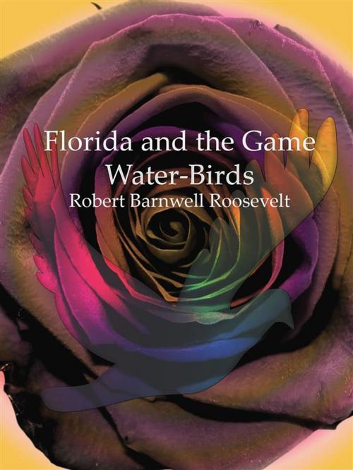 Cover of the book Florida and the Game Water-Birds by Robert Barnwell Roosevelt, Robert Barnwell Roosevelt