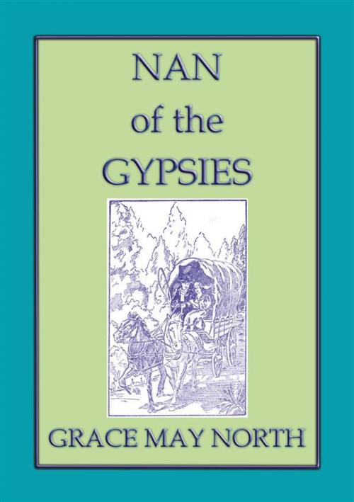 Cover of the book NAN of the GYPSIES - An American Coming of Age Novel by Grace May North, Abela Publishing
