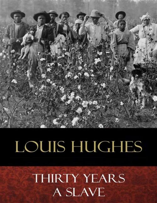 Cover of the book Thirty Years a Slave by Louis Hughes, BertaBooks
