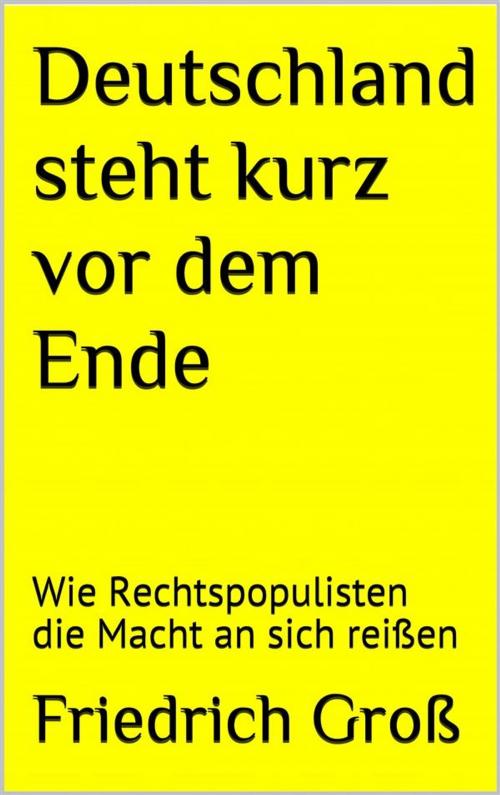 Cover of the book Deutschland steht kurz vor dem Ende by Friedrich Groß, Markus Mann