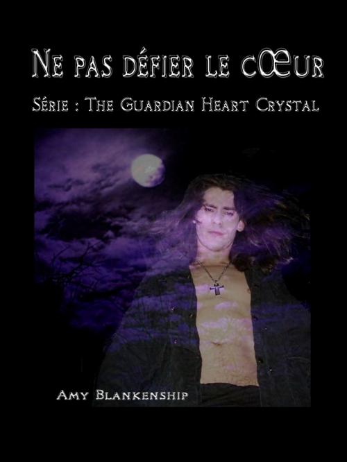 Cover of the book Ne Pas Défier Le Cœur by Amy Blankenship, Tektime