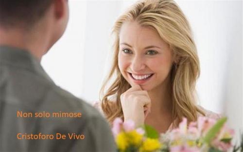 Cover of the book Non solo mimose by Cristoforo De Vivo, Youcanprint