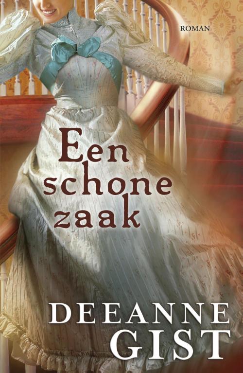 Cover of the book Een schone zaak by Deeanne Gist, VBK Media