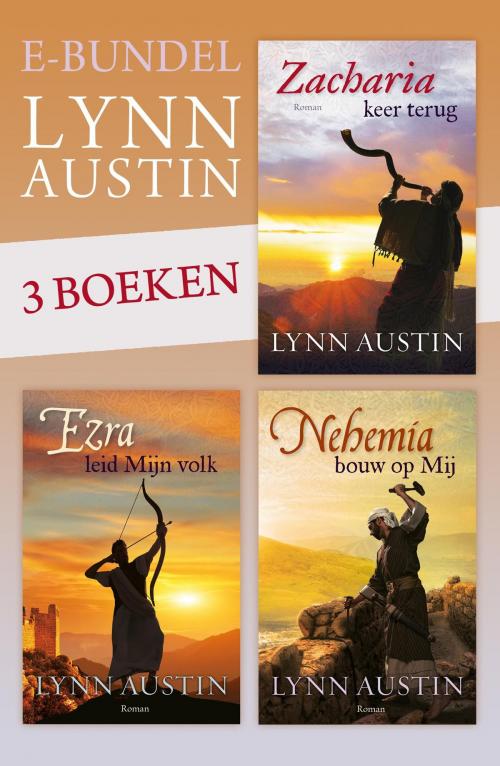Cover of the book E-bundel Lynn Austin by Lynn Austin, VBK Media