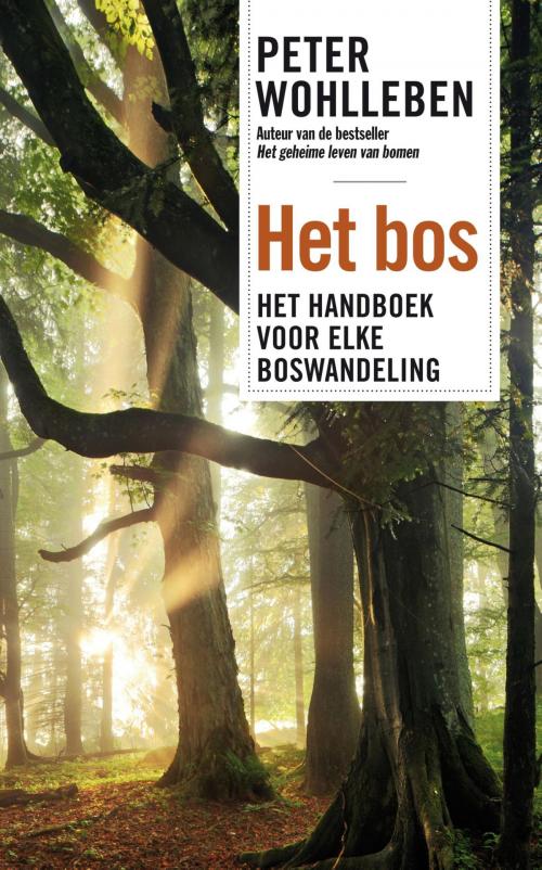 Cover of the book Het bos by Peter Wohlleben, Bruna Uitgevers B.V., A.W.
