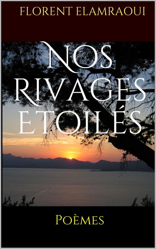 Cover of the book Nos Rivages Etoilés by Florent Elamraoui, Autoédition