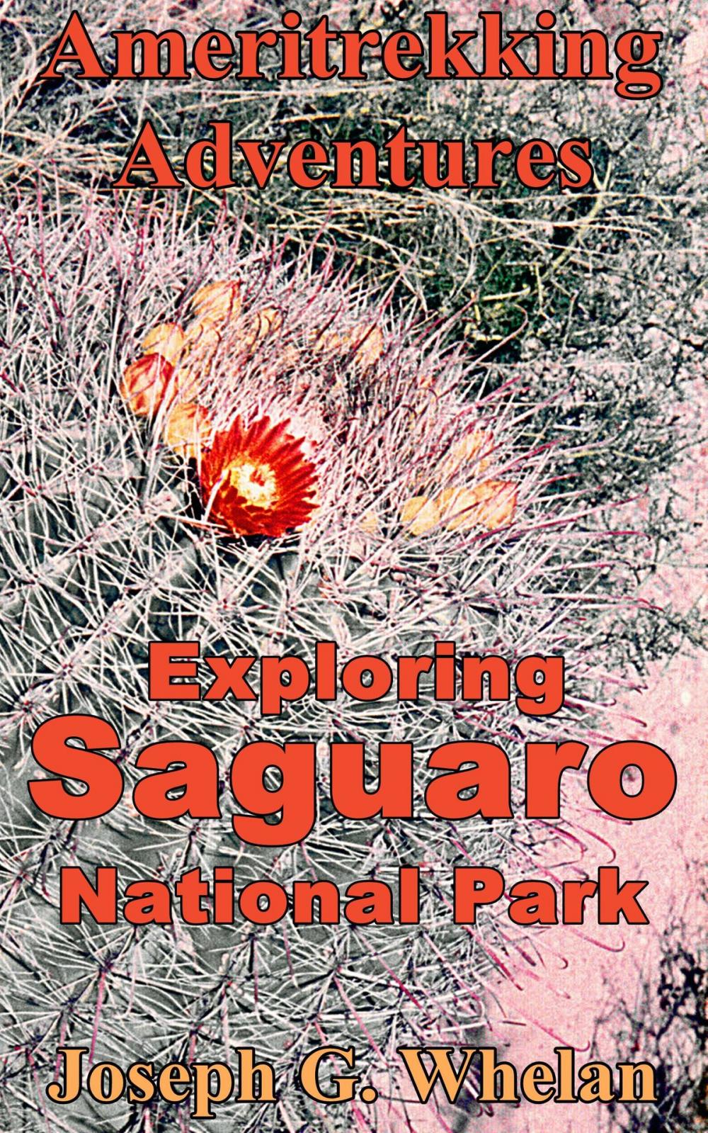 Big bigCover of Ameritrekking Adventures: Exploring Saguaro National Park