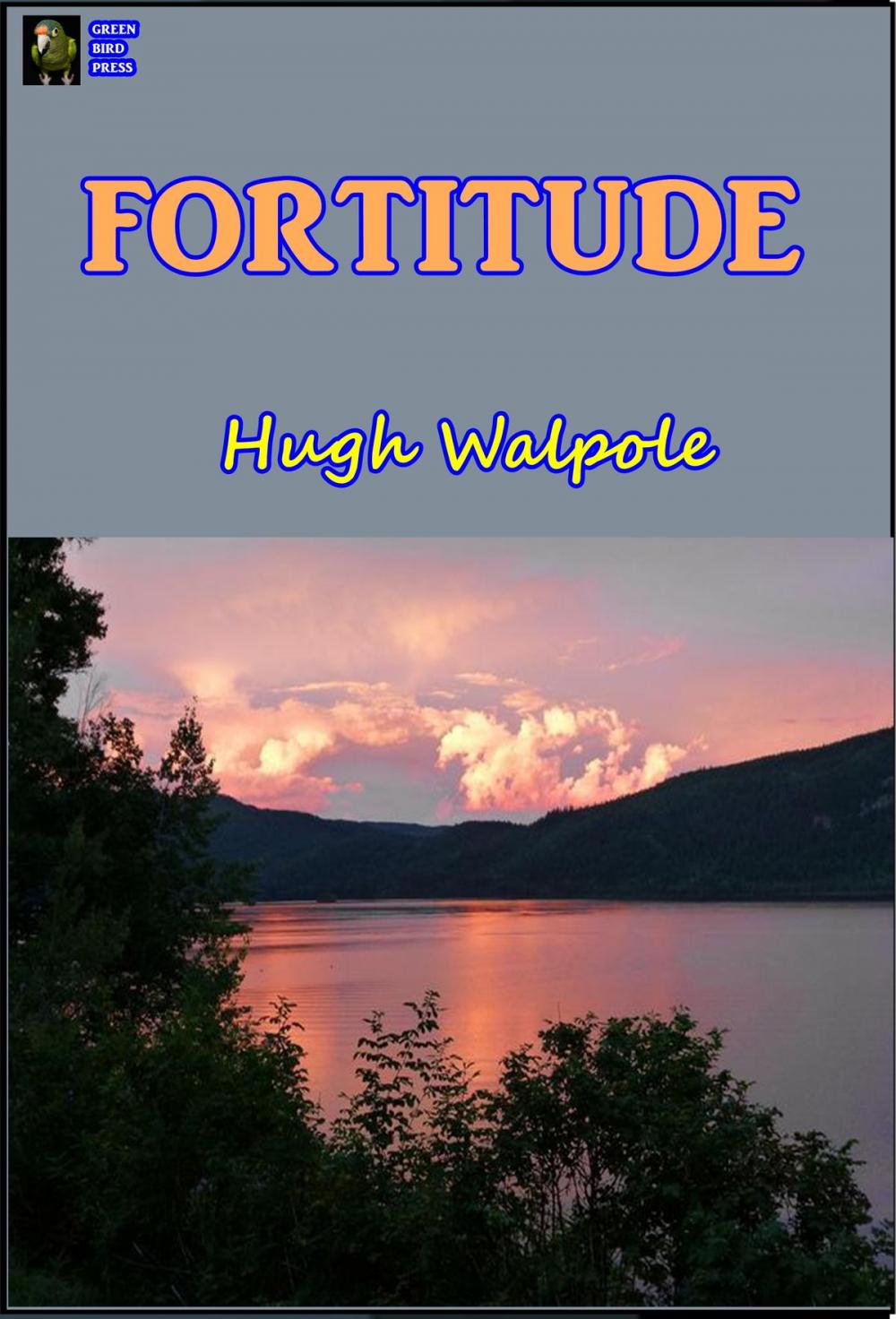 Big bigCover of Fortitude