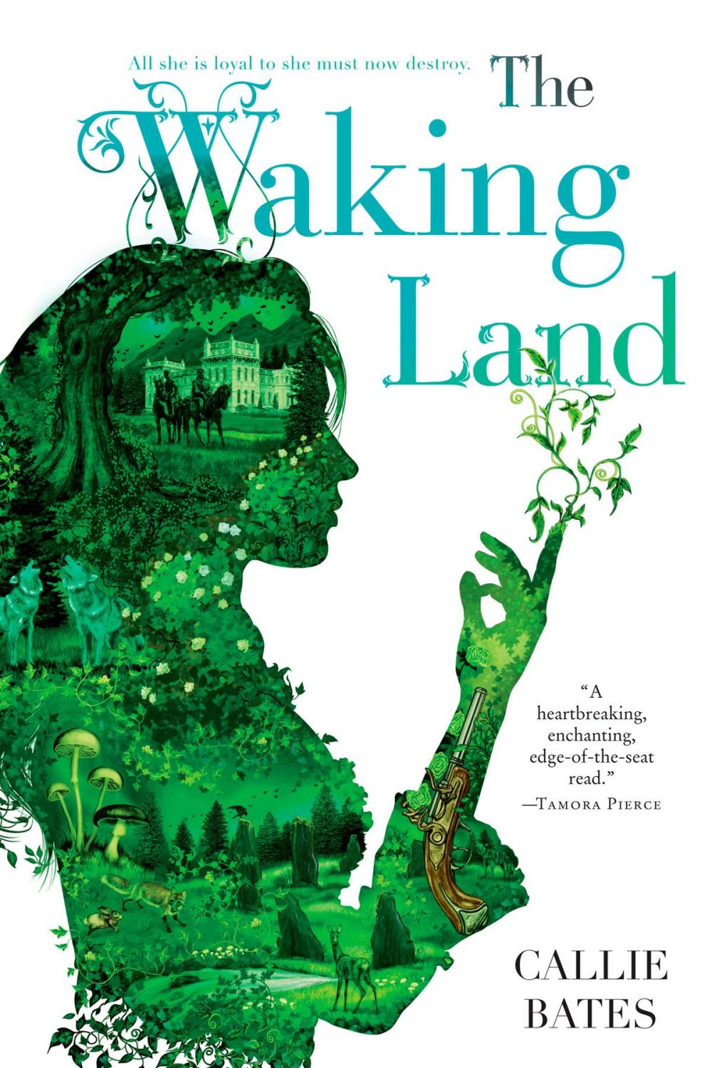 Big bigCover of The Waking Land