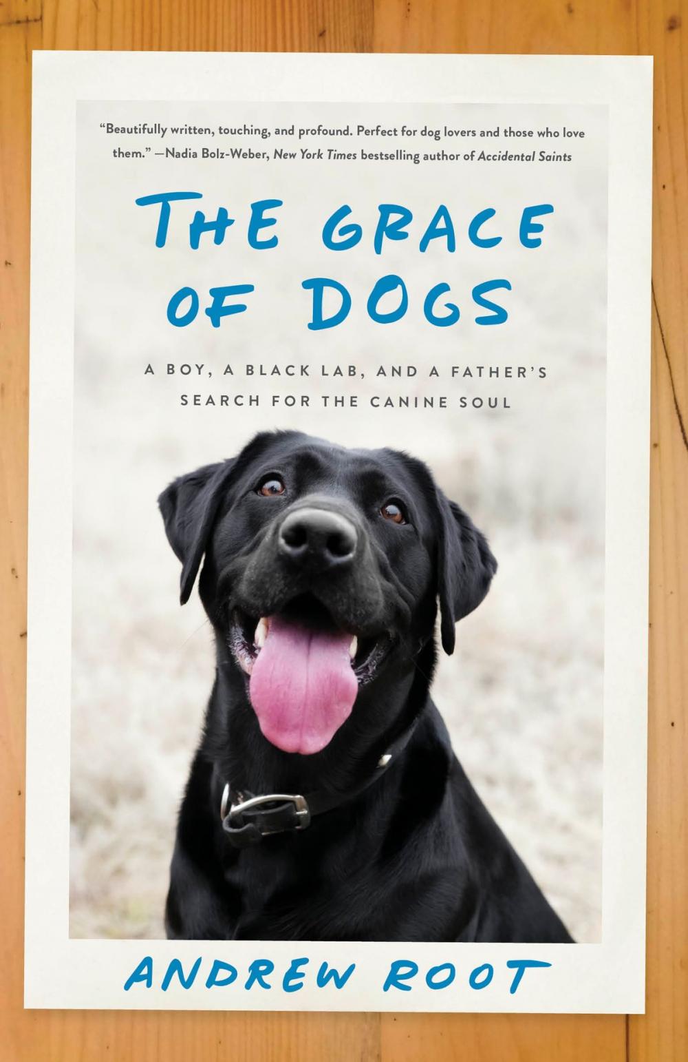 Big bigCover of The Grace of Dogs