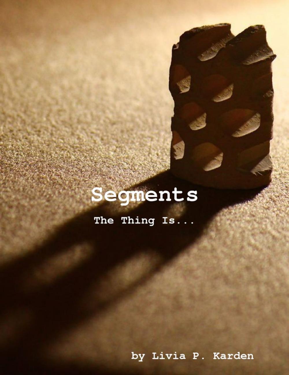 Big bigCover of Segments: The Thing Is