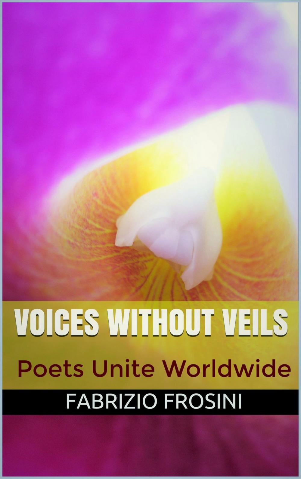 Big bigCover of Voices Without Veils