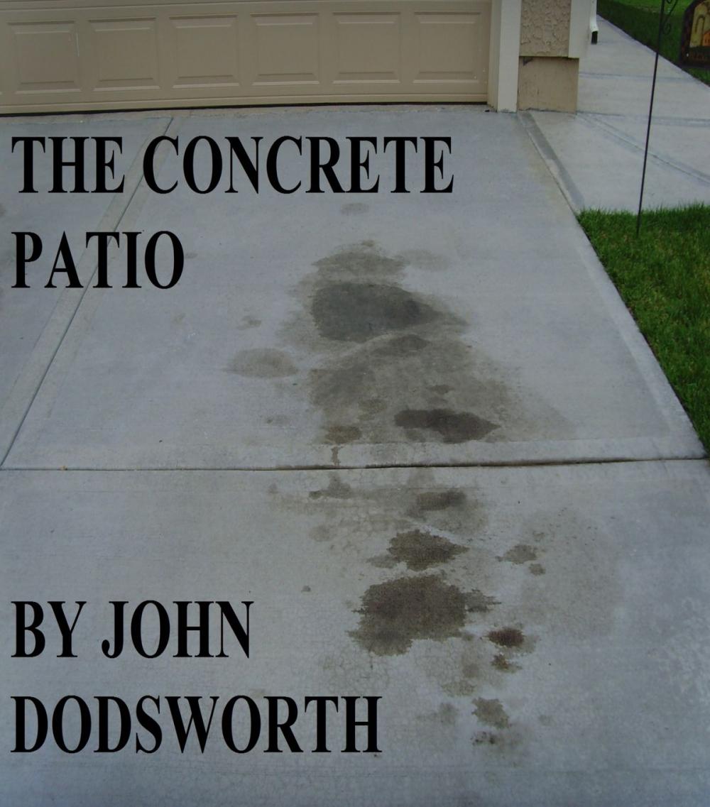Big bigCover of The Concrete Patio