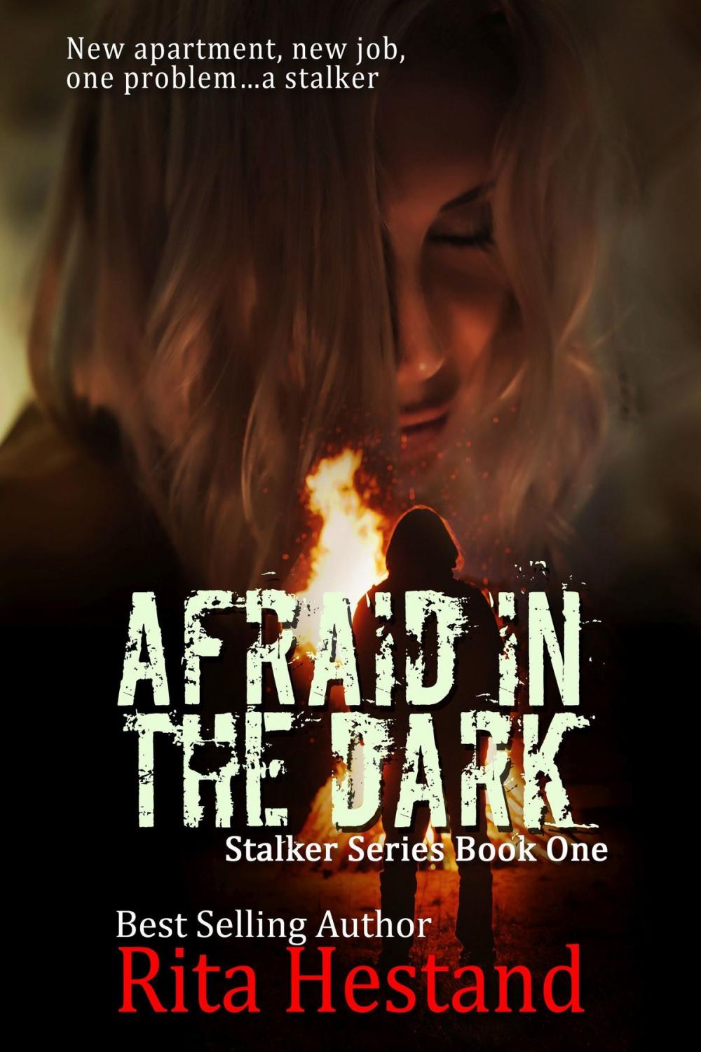 Big bigCover of Afraid in the Dark (Stalker Series Book One)