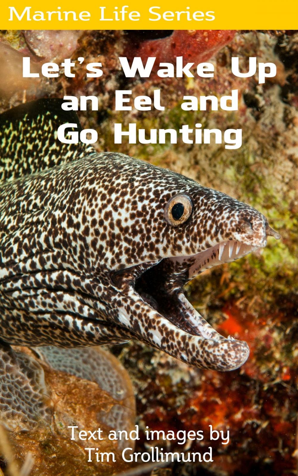 Big bigCover of Let's Wake Up an Eel and Go Hunting
