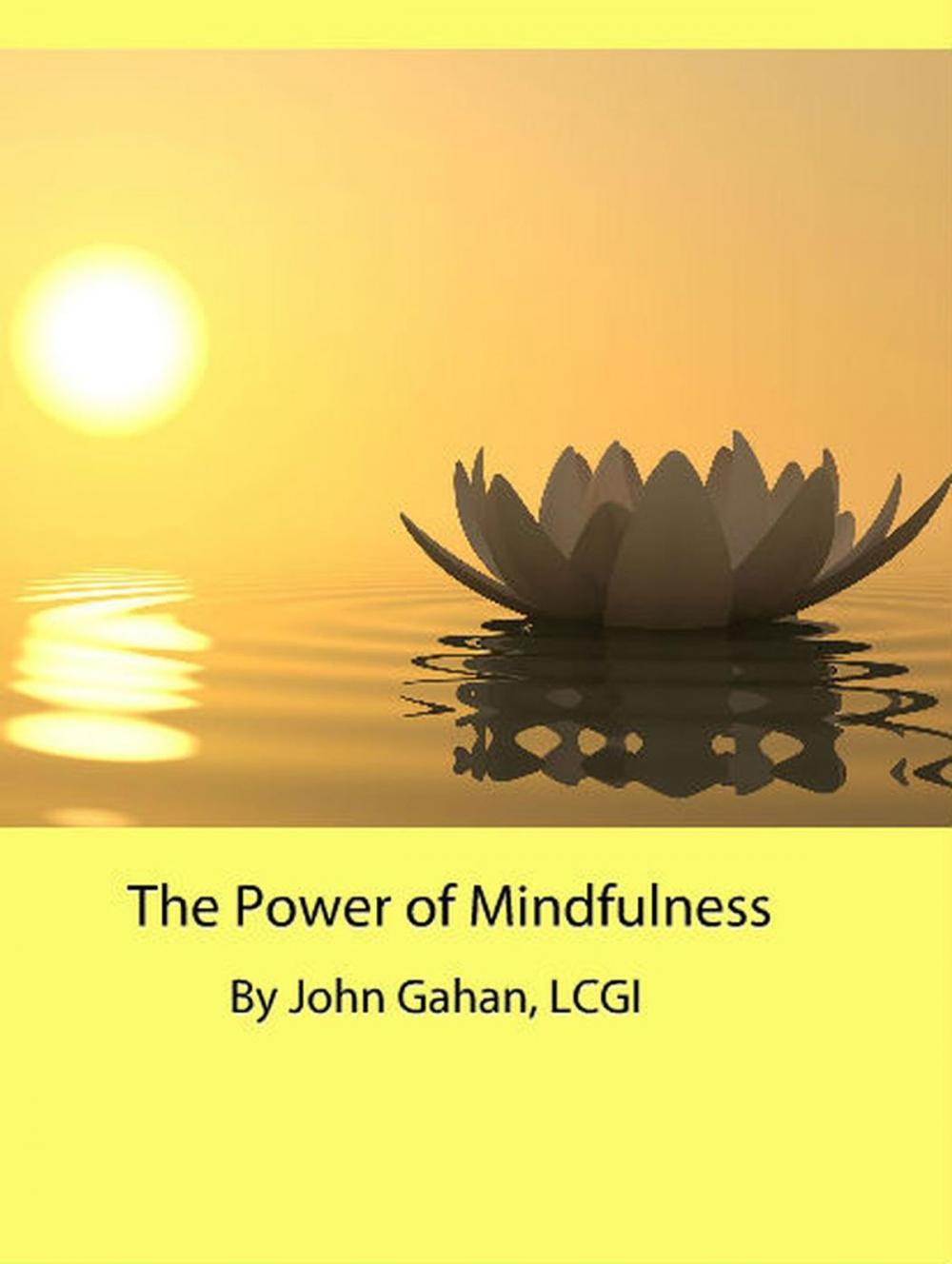 Big bigCover of The Power of Mindfulness