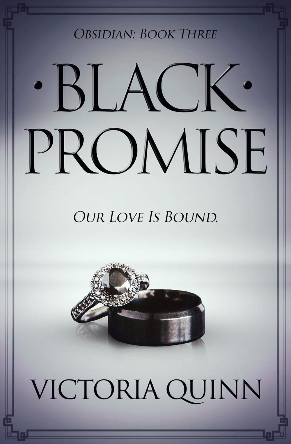 Big bigCover of Black Promise