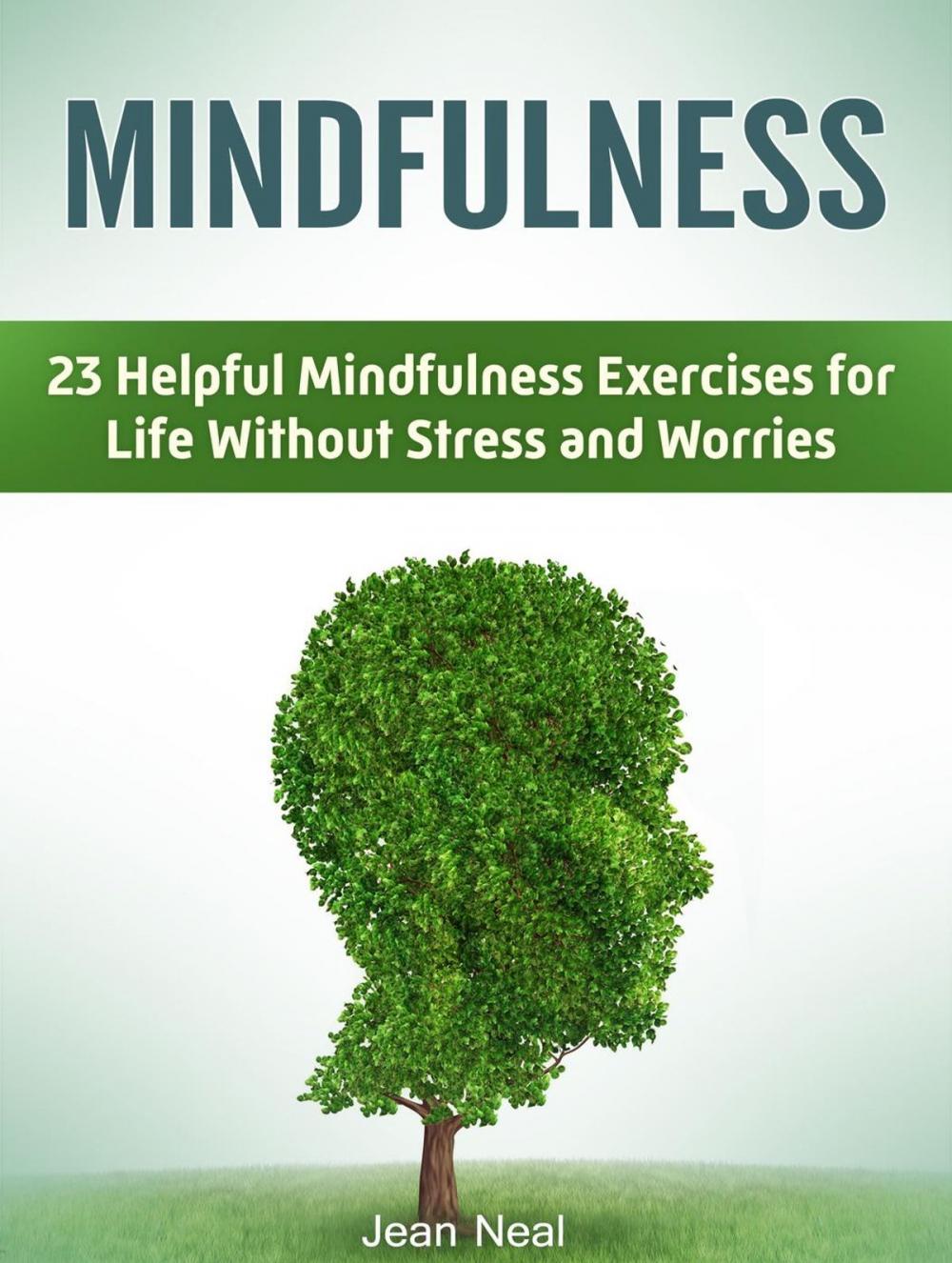 Big bigCover of Mindfulness: 23 Helpful Mindfulness Exercises for Life Without Stress and Worries