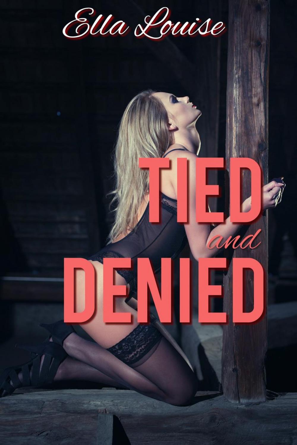 Big bigCover of Tied and Denied