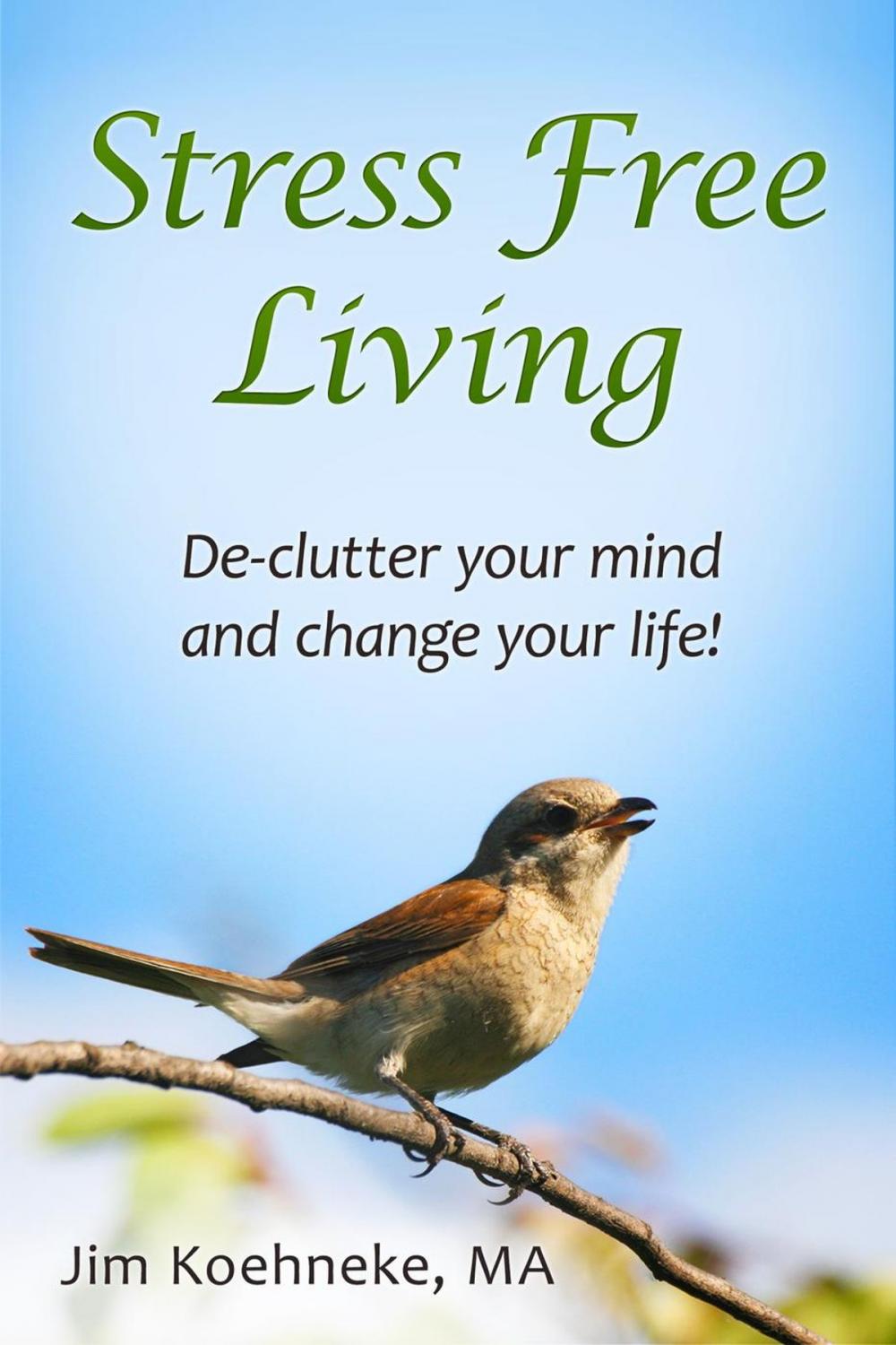 Big bigCover of Stress Free Living - Declutter Your Mind and Change Your Life Forever!