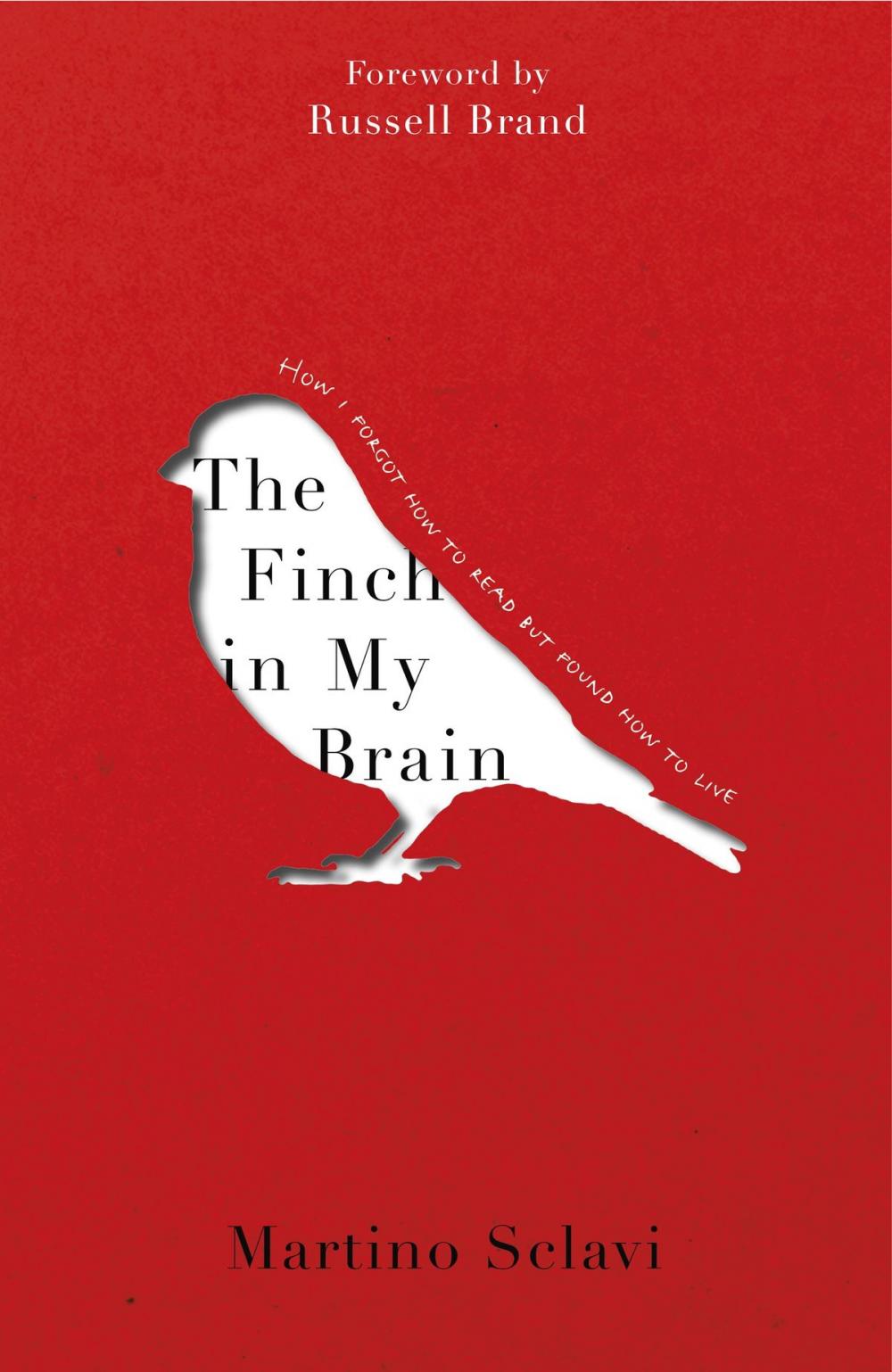 Big bigCover of The Finch in My Brain