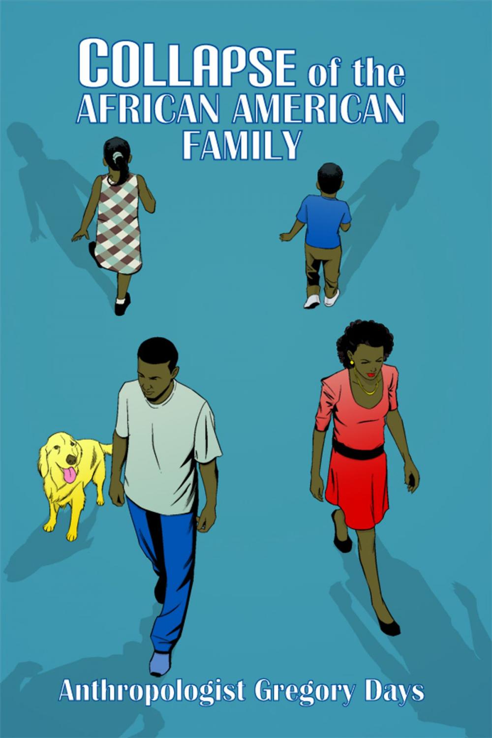 Big bigCover of Collapse of the African American Family